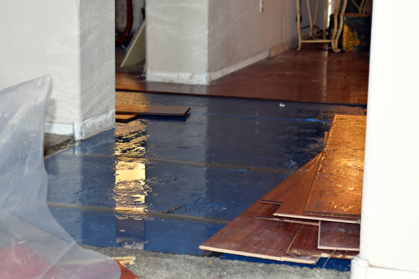 Professional Basement Flood Cleanup technician working in Volant, PA